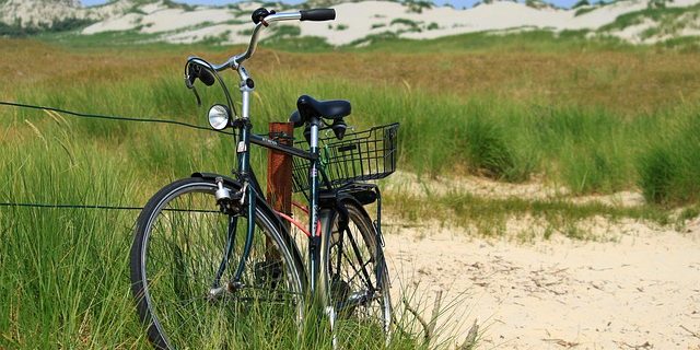 Duinen