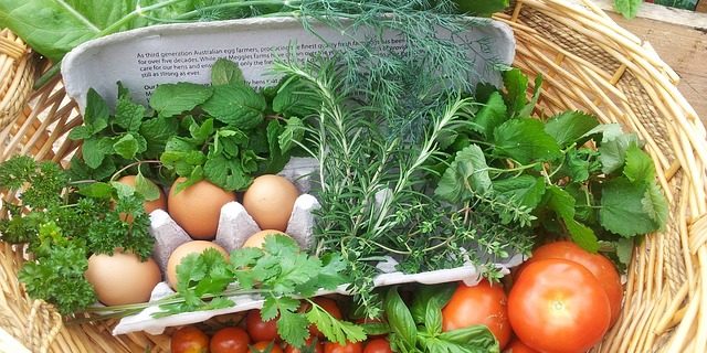 Biologisch voedsel